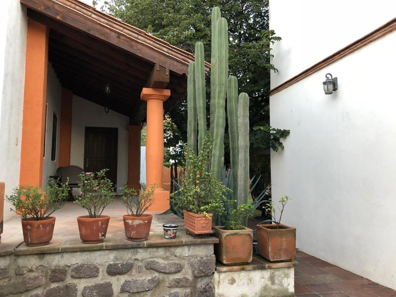 LAS ALAMEDAS Departamentos céntricos con estacionamiento privado Guanajuato Exterior foto