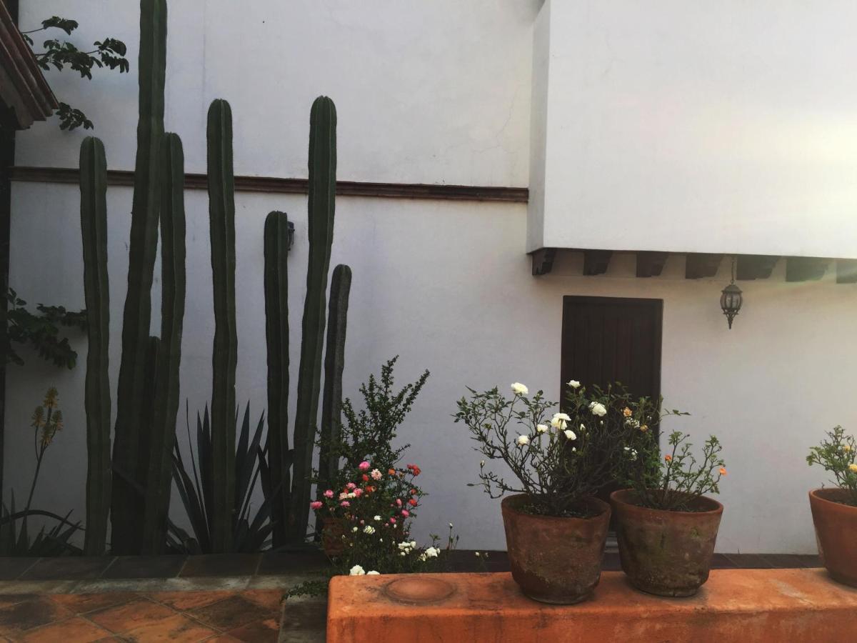 LAS ALAMEDAS Departamentos céntricos con estacionamiento privado Guanajuato Exterior foto